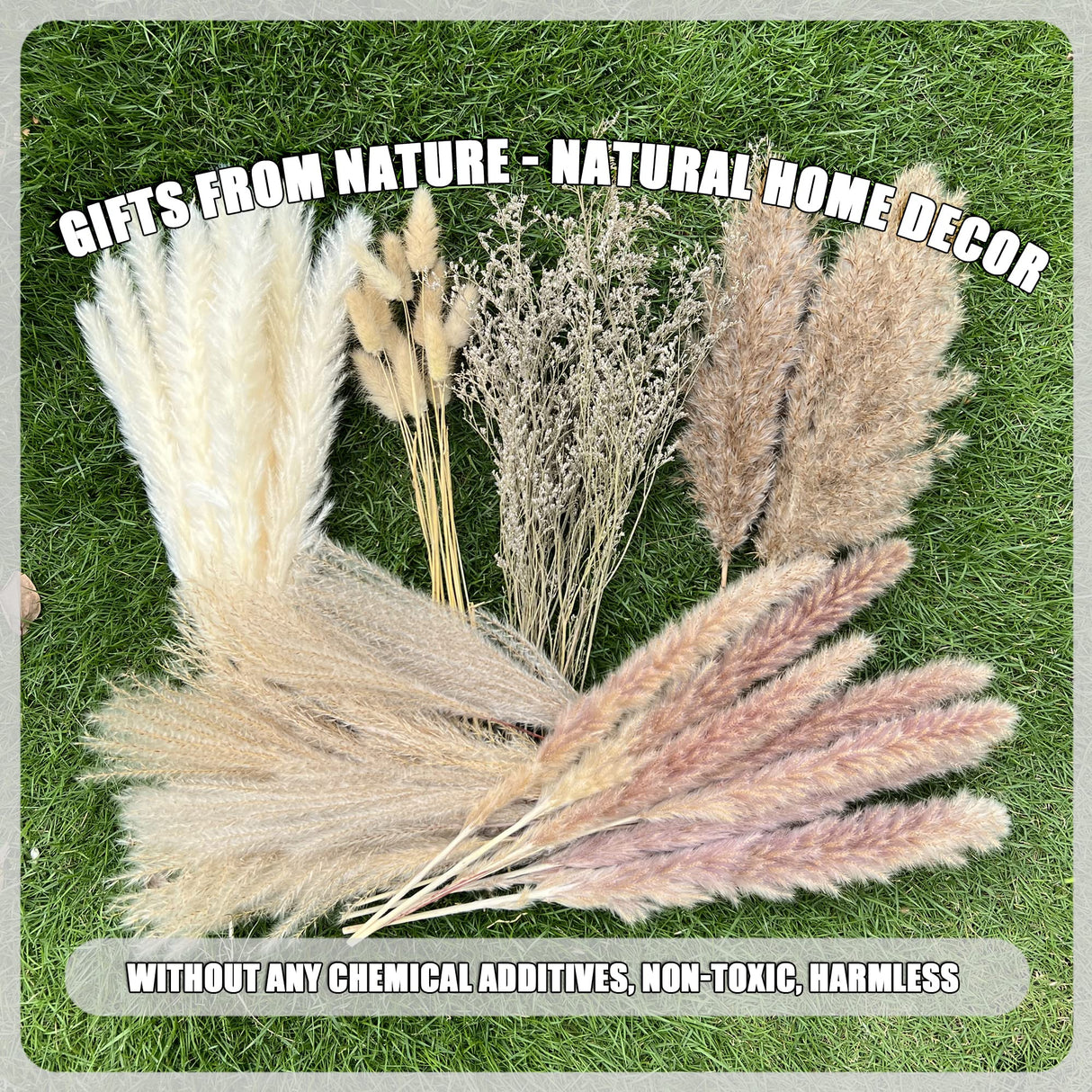 100Pcs Pampas Grass Boho Home Decor 17 inch Natural Dried Flowers-Pampas Grass Contains Bunny Tails White Pampas Brown Pampas.Boho Decor for Farmhouse Wedding Boho Wall Bathroom Office Kitchen… CZCTLUL