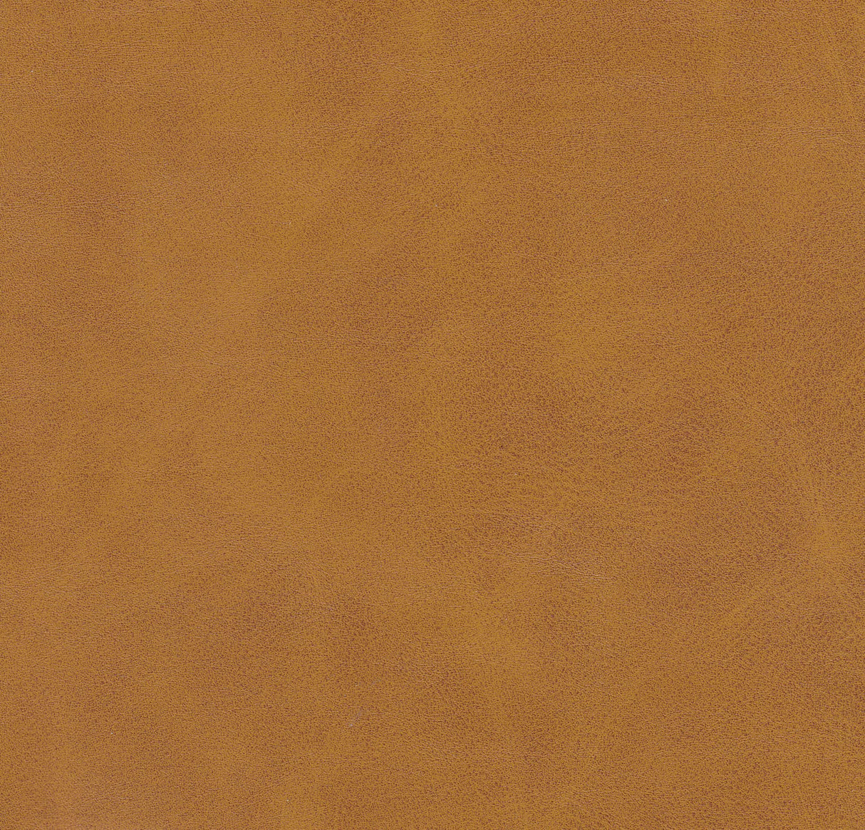 HomePop Upholstered Storage Bench with Metal Leg Home Décor|Bench with Storage for Living Room & Entryway - Faux Leather Brown HomePop