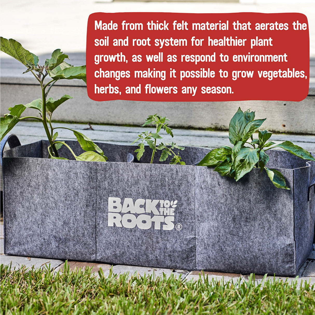 Back to the Roots Breathable Grow Bed, Provides More Oxygen to Roots, Assembles in Seconds 3 cu. ft Back to the Roots