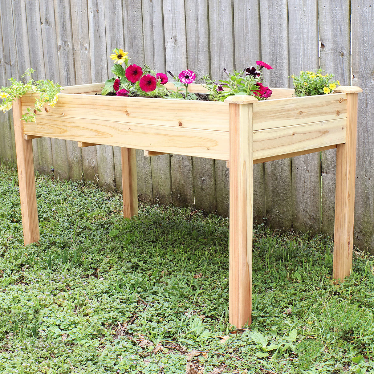 Sunnydaze 48.5-Inch Wood Raised Garden Bed - Outdoor Rectangular Elevated Planter Box with 2 Drainage Holes Sunnydaze