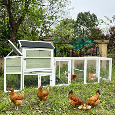 Wooden Chicken Coop, Large Outdoor Hen House with Run and Nesting Box