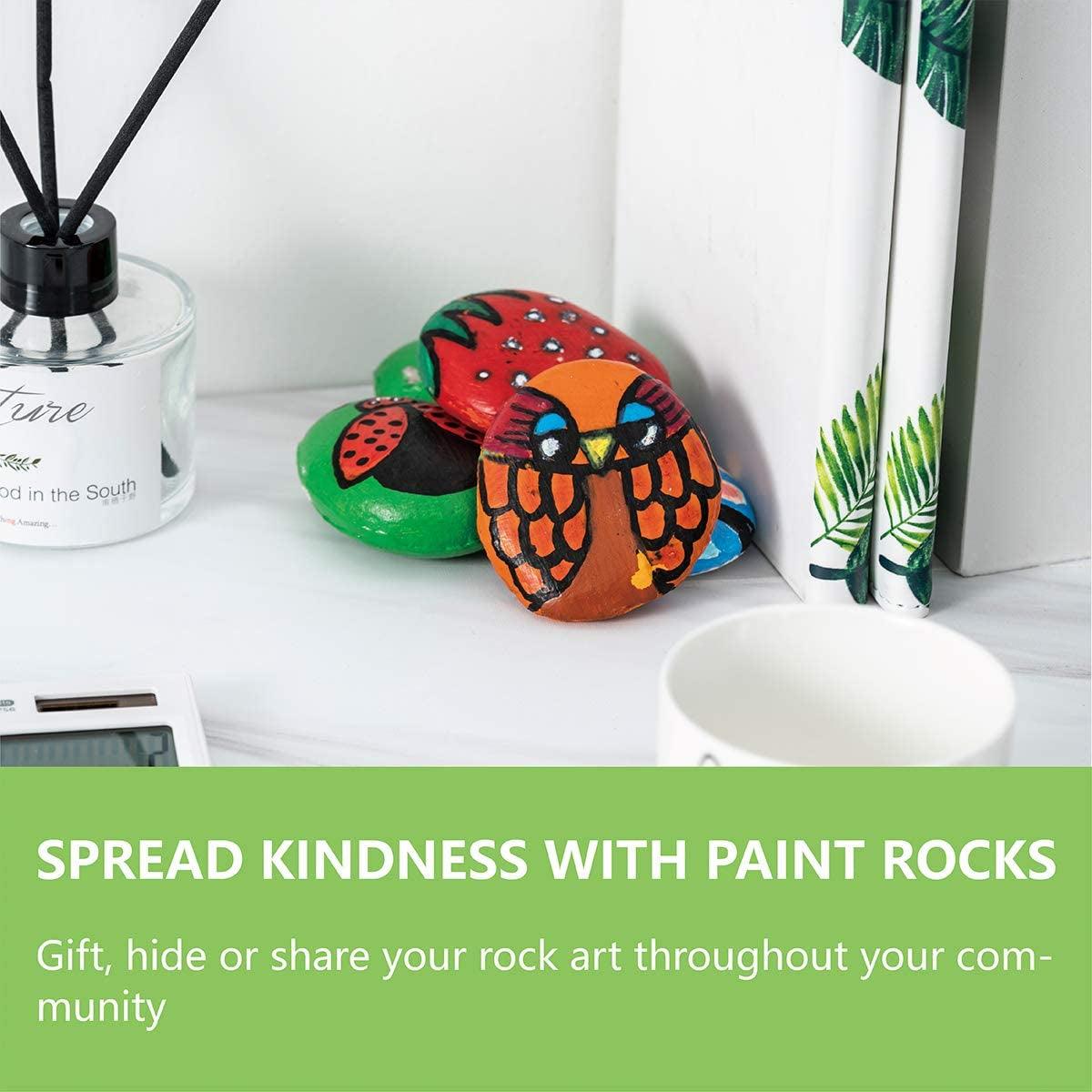 River Rocks for Painting 20PCS Smooth Unpolished Stones Kit Assorted Size Diameter 2-3In WoodArtSupply