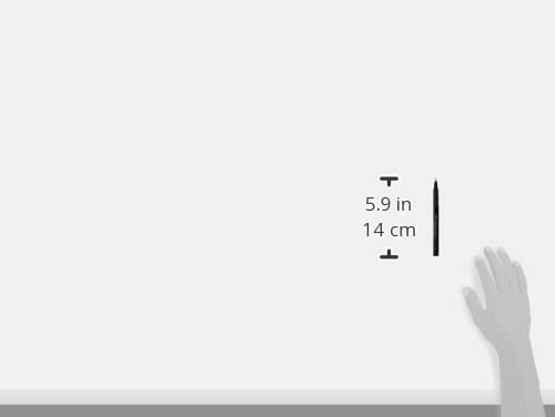 Faber Castell Artist Pack of 8 Assorted Sizes, 8-Pitt Pens in Black, 8 Count Faber-Castell