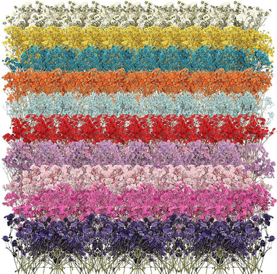 200 Pcs Resin Dried Flowers for Resin Dried Baby'S Breath Flowers Real Natural Pressed Flowers Gypsophila Bouquet Gypsophila Branches for Card Making