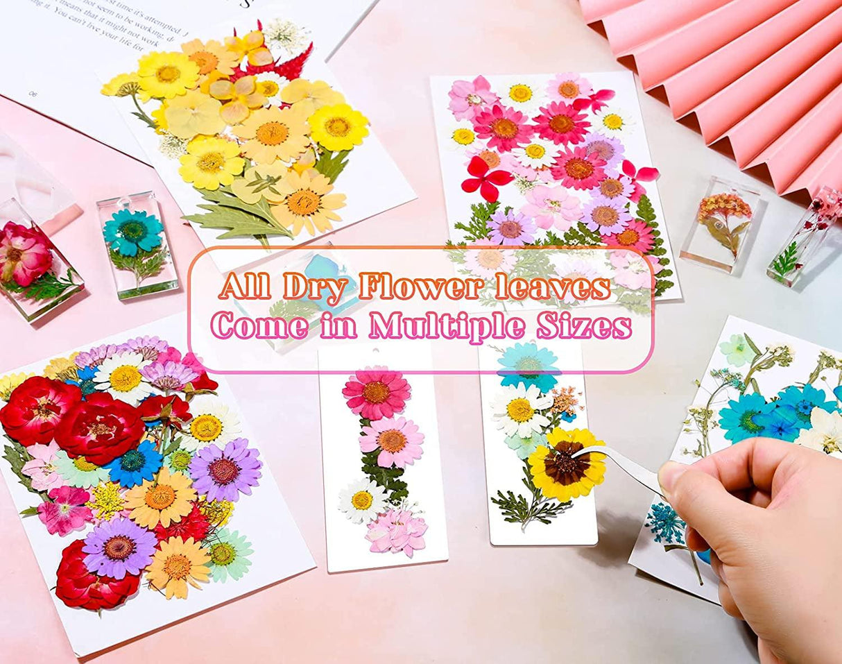 Real Dried Pressed Flowers for Resin, Natural Dry Flowers Leaves Bulk Herbs Kit for DIY Scrapbooking Stamping Supplies Epoxy Resin Jewelry Molds WoodArtSupply