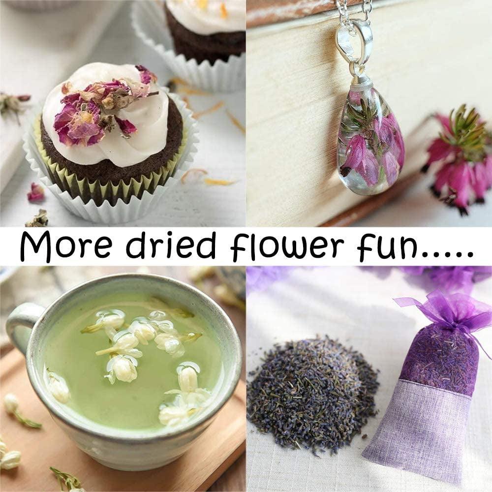 Dried Flowers, 21 Bags 100% Natural Dried Flowers Herbs Kit for Soap Making, DIY Candle, Bath, Resin Jewelry Making - Include Lavender, Don'T Forget WoodArtSupply