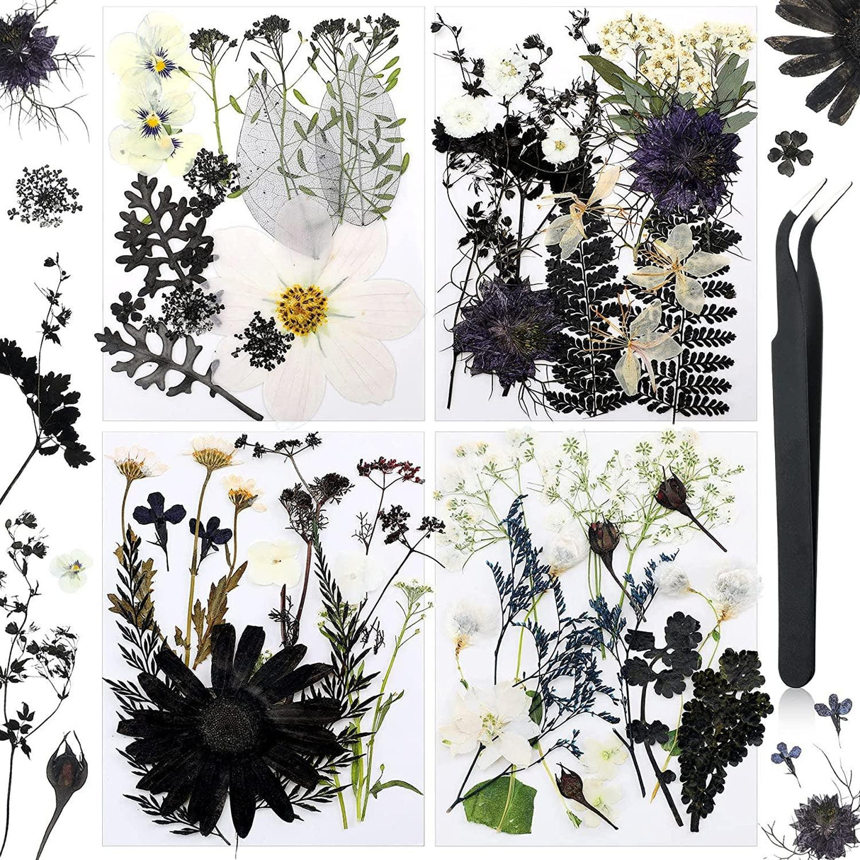 Pressed Flowers Resin Flowers for Resin Mold, Real Daisy Dried Flower Leaves Natural with Tweezers for Scrapbooking DIY Candle Accessories Jewelry WoodArtSupply