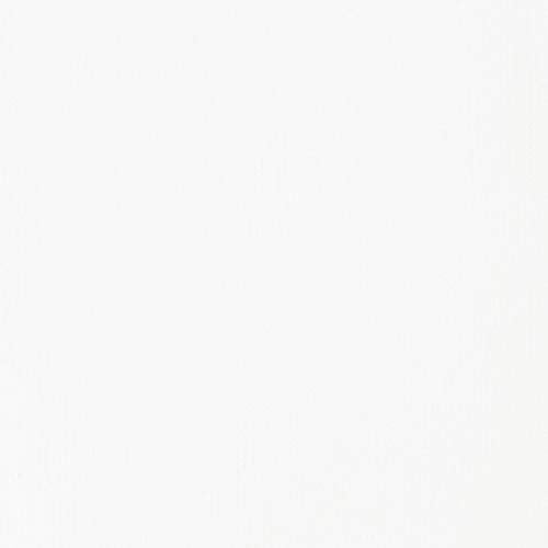 Liquitex BASICS Acrylic Paint, 250ml Tube, Titanium White, 8.45 Fl Oz (Pack of 1) Liquitex