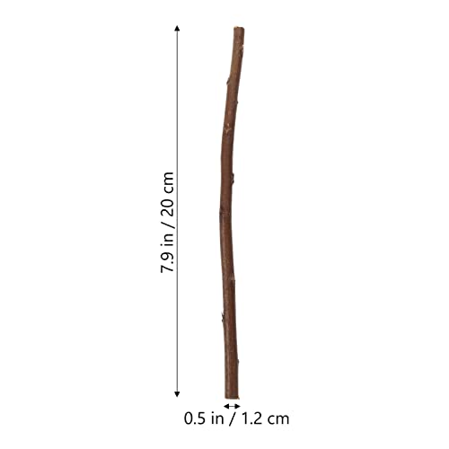 SEWACC 50pcs Branch Material Natural Wood Log Sticks Wooden Dowel Rod Cane Accessories Birch Wood Sticks Dry Wooden Sticks Vase Wood Crafts DIY SEWACC