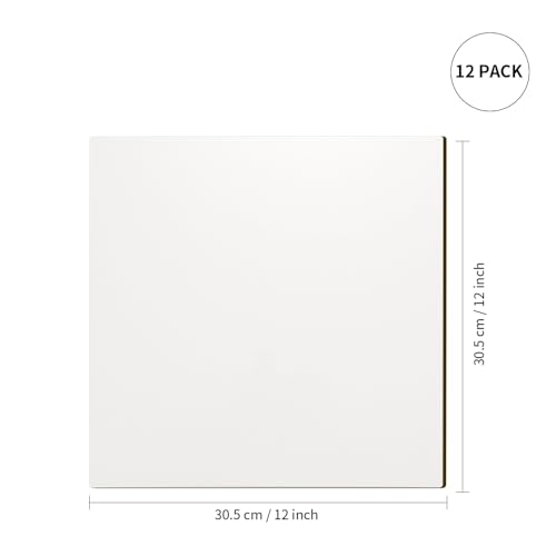 PYD Life 12 Pack Sublimation Hardboard Blanks Sheets Bulk White 12" x 12",1/8" Thick(3 mm) Custom Name Plate for Stanley 40 OZ Tumbler,Hardboard PYD Life