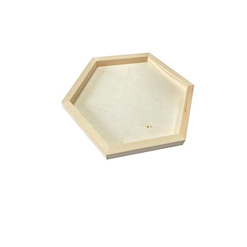 Unfinished Wooden Panels for Painting, Blank Wood Hexagon Framed Boards for Crafting Art Pouring (10x11.6 in, 6 Pack) Cregugua