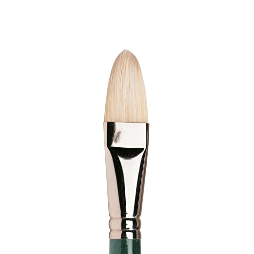 Winsor & Newton WINSOR & NEWTON Winton Brushes 12 filbert Winsor & Newton