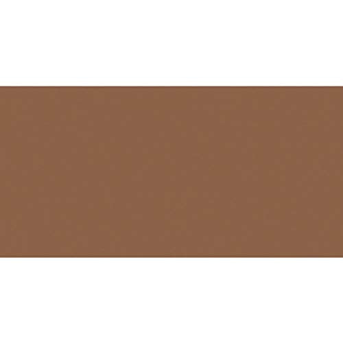 DecoArt Patio Paint, 2-Ounce, Pinecone, 2 Fl Oz (Pack of 1), Brown (French Toast 19-1012tcx) DecoArt