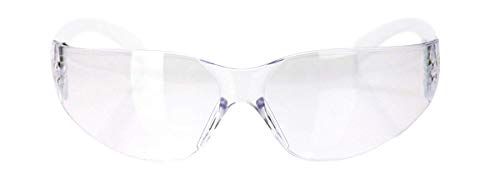 BISON LIFE Safety Glasses, One Size, Clear Protective Polycarbonate Lens, 12 per Box (1 box) BISON LIFE