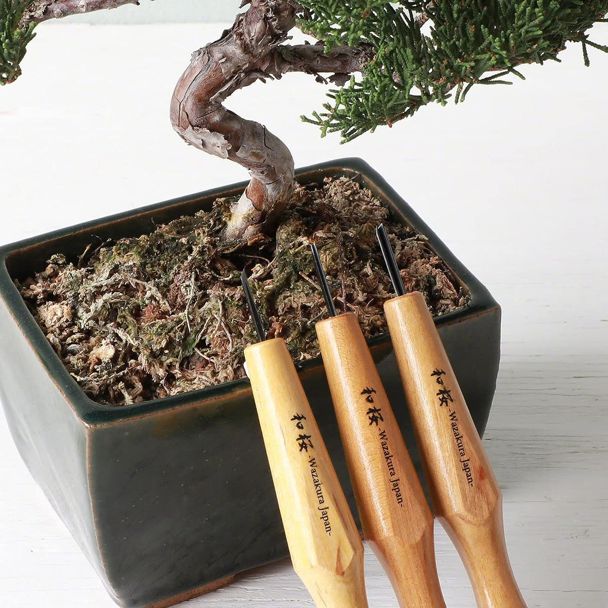 3PCS Bonsai Chisel Kit with round Gouge, Single Bevel Skewed and V-Parting Tool, Hand Carving Tool Set for Jin Shari Making, Woodworking Knife Pack WoodArtSupply