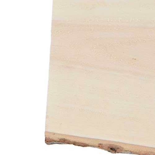 10pcs Unfinished Hanging Wood Signs, Blank Wood Sign Wood Plaque with Ropes for DIY Craft, Painting Writing HERCHR