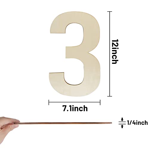 Wooden Numbers 12 Inch, Large Wooden Number 3 Shapes Cutouts Big Blank Unfinished Wood Numbers for DIY Craft Wall Decor Painting Birthday Wedding Hongma