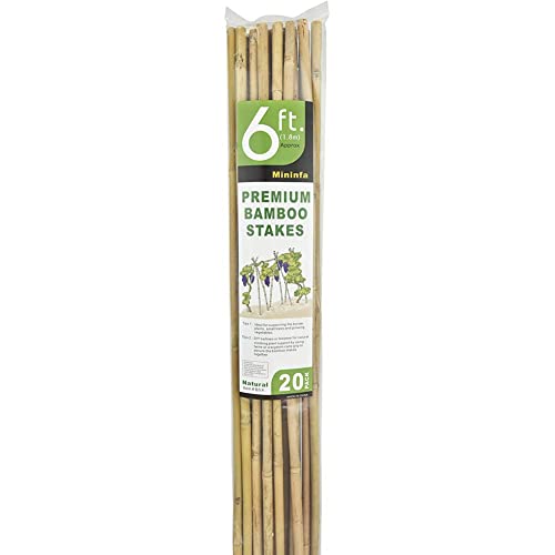 Mininfa Natural Bamboo Stakes 6 Feet, Eco-Friendly Garden Stakes, Plant Stakes Supports Climbing for Tomatoes, Trees, Beans, 20 Pack Mininfa
