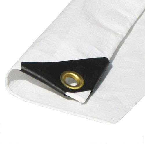 8'x20' 12 mil White Tarp Extra Heavy Duty 3 Ply Reinforced Canopy 6 oz (Approximate 7’.6 x 19’.6) DAY STAR SHADES