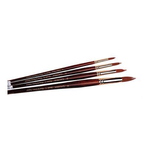 Winsor & Newton Galeria Acrylic Long Handle Round Brush Size: 4 (Set of 3 brushes) Winsor & Newton