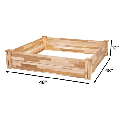 Jumbl Raised Canadian Cedar Garden Bed | Elevated Wood Planter for Growing Fresh Herbs, Vegetables, Flowers, Succulents & Other Plants at Home | Jumbl