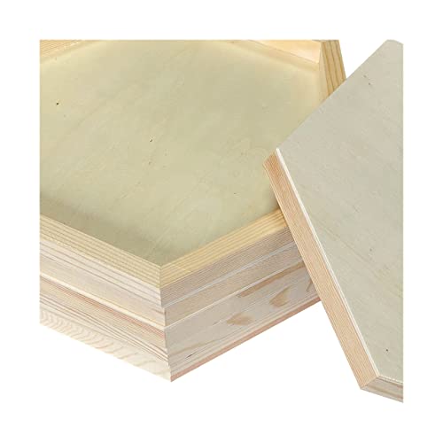 Unfinished Wooden Panels for Painting, Blank Wood Hexagon Framed Boards for Crafting Art Pouring (10x11.6 in, 6 Pack) Cregugua