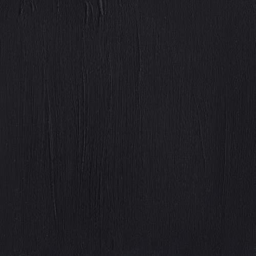 Winsor & Newton Professional Acrylic Paint, 200ml (6.75-oz) Tube, Payne's Gray Winsor & Newton