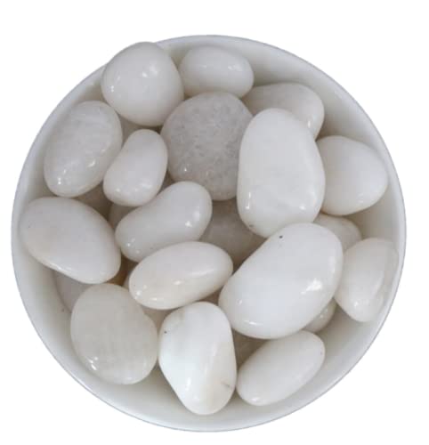 30 pcs 2-3 inch Natural Rocks for Painting Kindness Rocks Crafting Emooqi