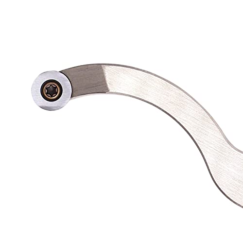 Swan Neck Hollower Carbide Tipped Lathe Chisel Mini Tools Bar Wood Turning Tool Set with Ci3 12mm Round Carbide Insert Cutter for Wood Hobbyist or Asieg Tool