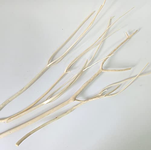 23 Inch Decorative Dried Bleached Mitsumata Branches, Natural Wood DIY Craft Branches for Home Wedding Party Decoration DongArts