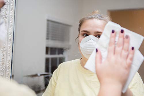 G & F 9118 Disposable Non-Toxic Dust and Filter Mask for cleaning, 50 Mask Value Pack G & F Products