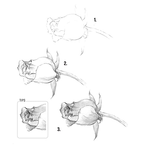 Heshengping Drawing Pencils Sketch Pencil Art Supplies Set for Kids Adults beginners Professional Sketching Art Graphite Charcoal Blending Stump Heshengping