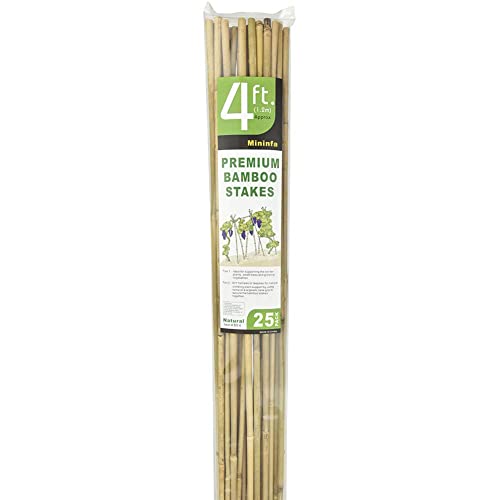 Mininfa Natural Bamboo Stakes 4 Feet, Eco-Friendly Garden Stakes, Plant Stakes Supports Climbing for Tomatoes, Trees, Beans, 25 Pack Mininfa
