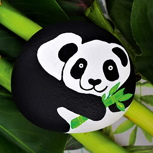 Hinkler Animal Rock Painting Box Set - DIY Rock Painting for Adults - Rocks, Brush, Paint Included - Mandala Stone Artist - Create Rock Artwork at Hinkler