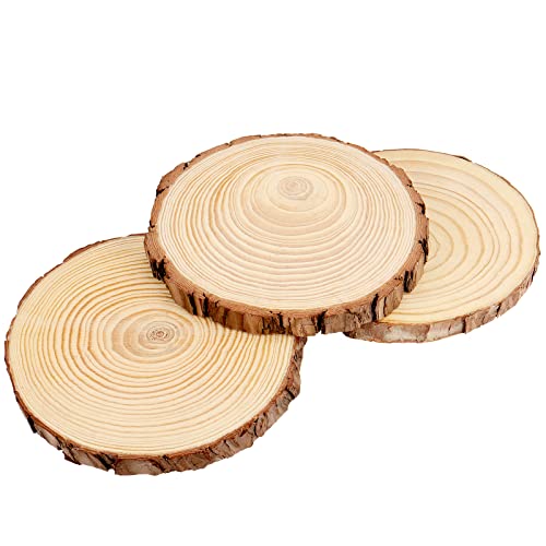 MUKCHAP 10 Pcs 6.3-7 Inch Natural Pine Wood Slices, 0.6 Inch Thick Unfinished Wood Discs for Festival Ornaments, Wedding Decoration, DIY Craft MUKCHAP