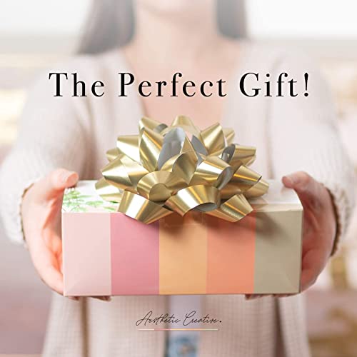 Macrame Kit - Makes 3 Macrame Plant Hangers with Easy To Follow Instructions for Adult Beginners - Includes 109 Yards 3mm Cotton Macrame Cord, Aesthetic Creative