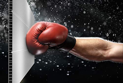 Keter Premier Tall 4.6 x 5.6 ft. Resin Outdoor Storage Shed with Shelving Brackets for Patio Furniture, Pool Accessories, and Bikes, Grey & Black Keter