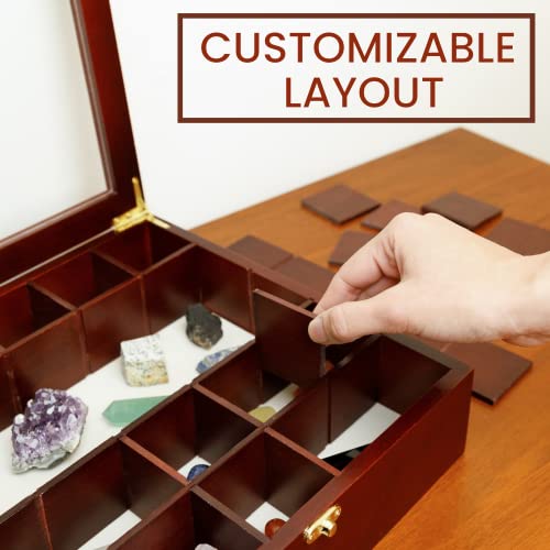 SmartyRocks Adjustable Rock Display Case - Rock Collection Box with Fabric Bed for Rock and Mineral Display - Dark-Finish Shadow Box with Shelves for SmartyRocks