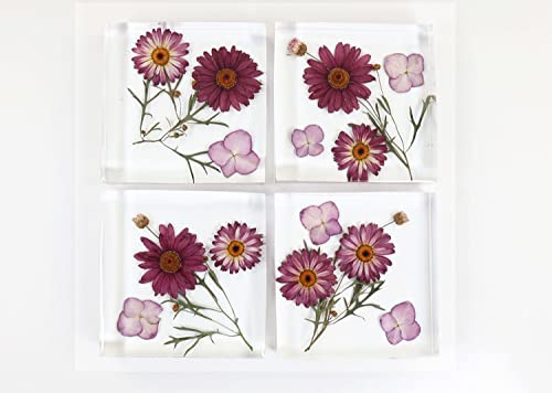 13.5" Rectangular x 2" Deep Large Tray Mold and 4 Deep Resin Coaster Molds and 3 Pairs Gold Handles, Silicone Tray Board Table Clock Mold for Epoxy ModWgGuo