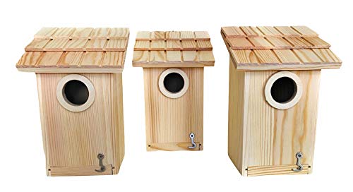 3 Pack Bird House - Bluebird, Finch, Wren, Chickadee, Tree Swallow Bird, Wild Birds, Woodpecker House, Unfinished Wood DIY Project | Oojami