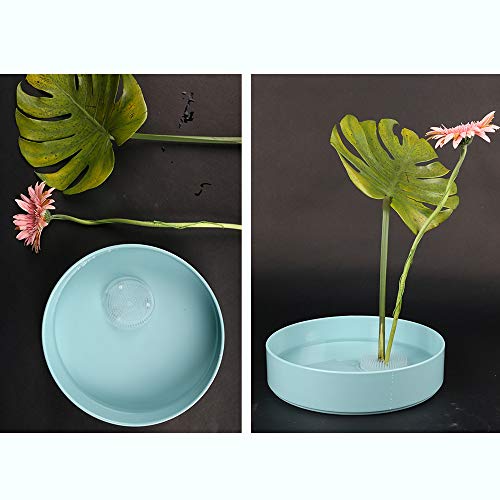 2Pcs Thicken Plastic Flower Frog 70mm/2.76" Clear Japanese Floral Frogs Round Ikebana Kenzan Flower Arrangement Pin Frog Holder Eggone