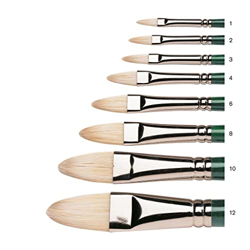 Winsor & Newton WINSOR & NEWTON Winton Brushes 12 filbert Winsor & Newton