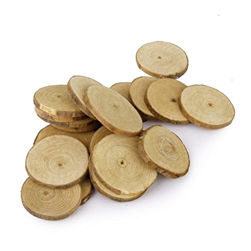 20pcs Mini Log Slices Wood Slab for Crafts Unfinished Wood Slices Small Wood Slice Birch Wood Slices Unfinished Wood Crafts Wood Slices Circles Bulk SEWOART