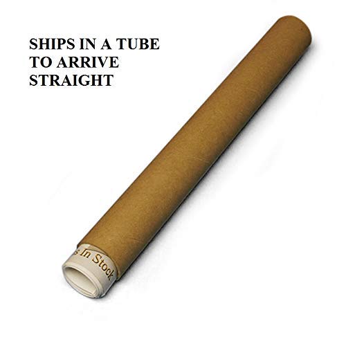 MADE IN USA Guitar Neck Straight Edge (Notched) Luthier Tool. Fits Fender/Gibson & Most Electrics Neck Check Guitar