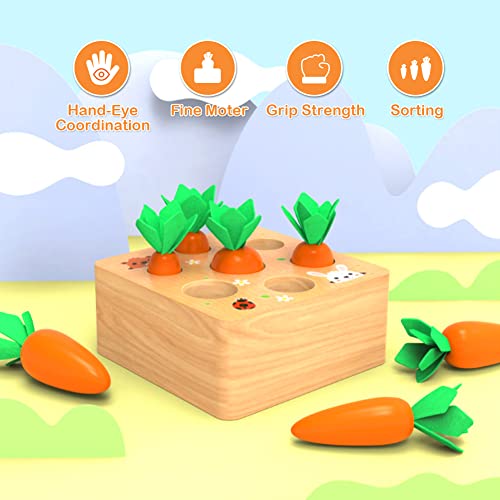 Montessori Toys for 1 Year Old, Wooden Toys Developmental Shape Sorting & Matching Puzzle Carrots Harvest Game, Birthday Gifts for Toddlers Babies Wdmiya