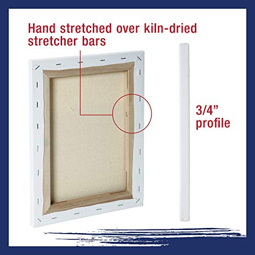 U.S. Art Supply Professional Quality Stretched Canvas, Multipack of 10 Medium Sizes, 2 Each 5x7, 8x10, 11x14, 12x16, 16x20 Inches - 12-Ounce Primed, U.S. Art Supply