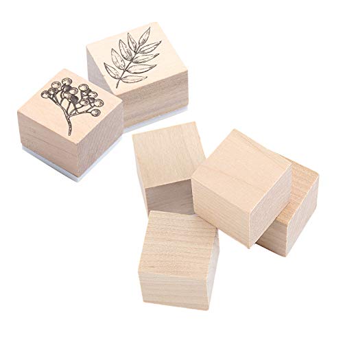 ZOENHOU 300 PCS 1 Inch Wooden Cubes, Premium Natural Solid Wood Unfinished Wooden Block Set for Painting Decorating Crafting DIY Projects ZOENHOU