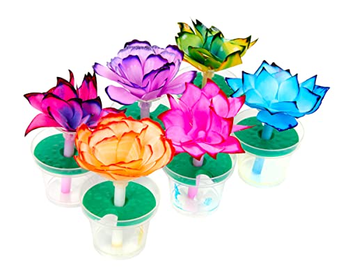 Crayola Paper Flower Science Kit, Color Changing Flowers, Gift for Kids Ages 7, 8, 9, 10 Crayola
