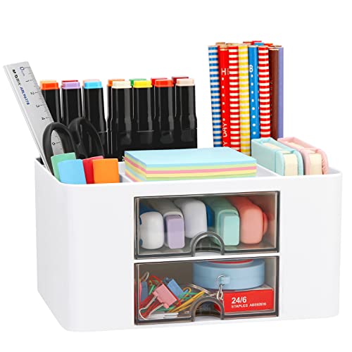 LETURE Desk Organizer with 2 Drawer, Plastic Desktop Pen Pencil Card Holder Storage Box for Desk, Office Supplies, Vanity Table Office School Home LETURE