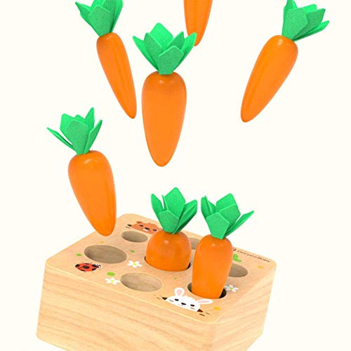 Ancaixin Montessori Toys for Babies 6-12 Months, Wooden Toys for 1 Year Old Boys and Girls, Educational Carrot Harvest Toy for Toddlers, Shape Ancaixin